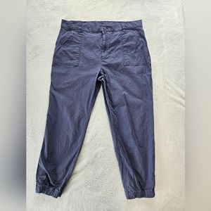 Eddie Bauer womens 16 dust navy color Adventure Rip Stop Jogger twill cargopants